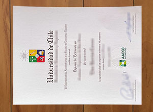 Universidad de Chile degree