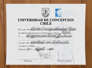 Universidad de Concepción diploma