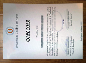 Universidad Católica del Norte degree