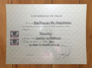 Universidad de Talca degree