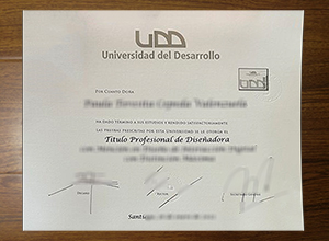 Universidad del Desarrollo degree