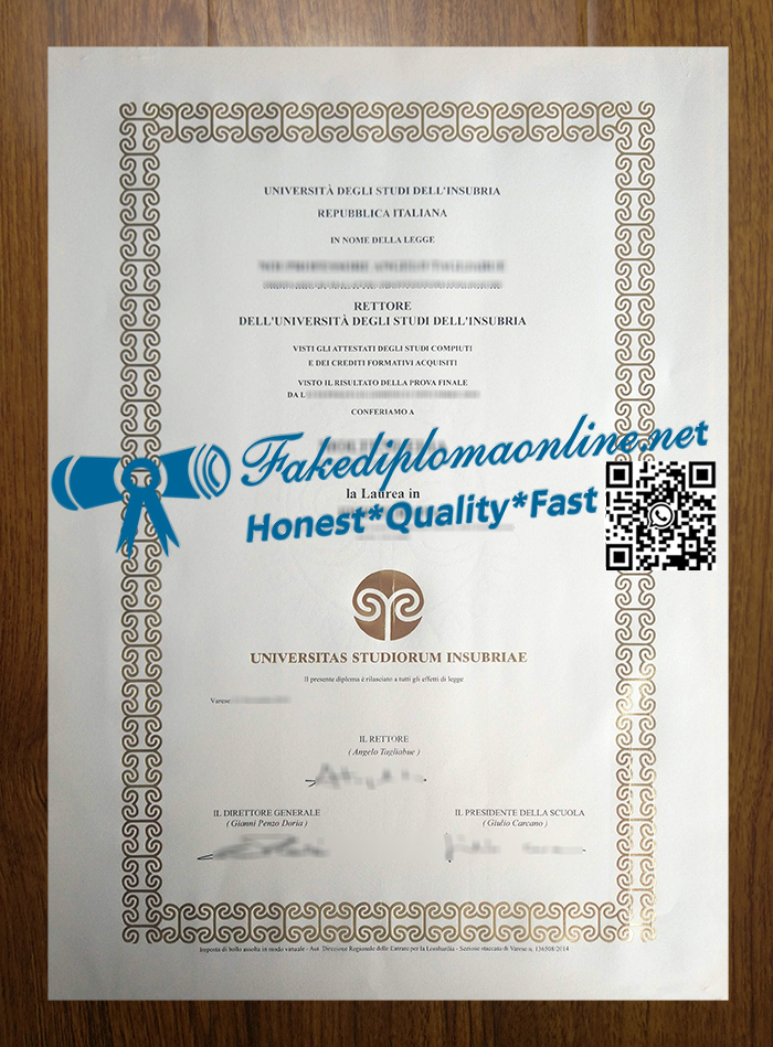 Universita-degli-Studi-dellInsubria-degree
