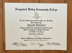 I would like to get a Naugatuck Valley Community College degree