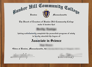 Bunker Hill Community College degree