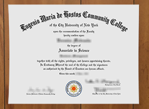Good guides to obtain a Hostos Community College degree online