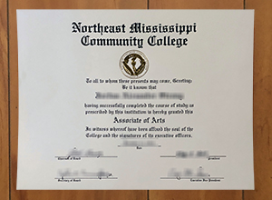 How to get a Northeast Mississippi Community College degree