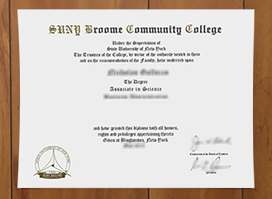 Best way to get a SUNY Broome Community College degree online