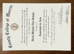 How much to purchase a County College of Morris diploma online