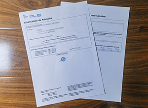 DELF transcript
