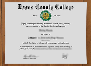 I would like to obtain a Essex County College degree online