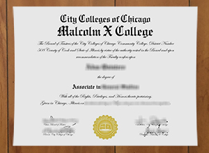 Smartest way to purchase a Malcolm X College diploma online