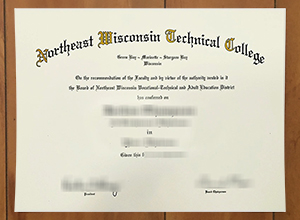 I need a Northeast Wisconsin Technical College degree online