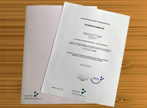 Satakunta University of Applied Sciences diploma