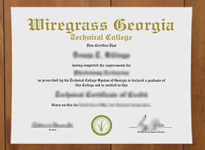 Wiregrass Georgia Technical College degree