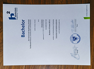 Hochschule Magdeburg-Stendal diploma