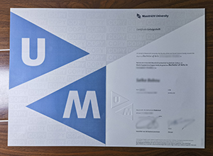 Is it possible to get a Universiteit Maastricht degree online?