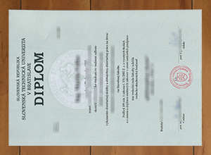 Slovenská technická univerzita v Bratislave diploma