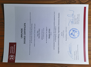 TU Braunschweig degree