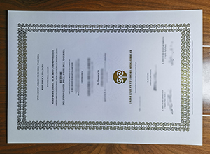 Universitas Studiorum Insubriae diploma
