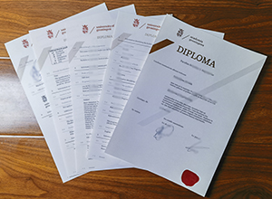 Can I get a University of Groningen diploma and transcript online?