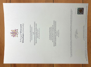 Wrexham University degree