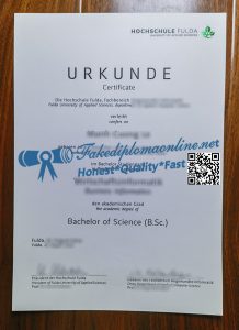 Hochschule Fulda diploma