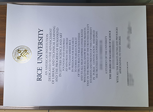 Rice University degree