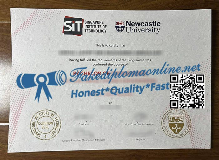 SIT-and-Newcastle-University-degree