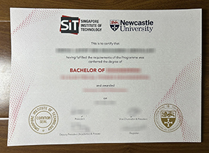 SIT and Newcastle University degree