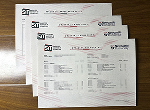 Singapore Institute of Technology transcript