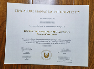 Singapore Management University degree