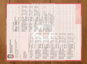 Northern Illinois University transcript