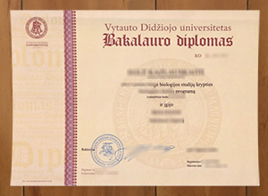 Vytauto Didžiojo universitetas diploma