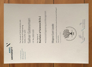 Best method to duplicate an Ariel University diploma in Israel