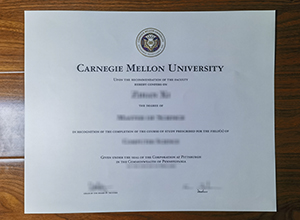 Carnegie Mellon University degree