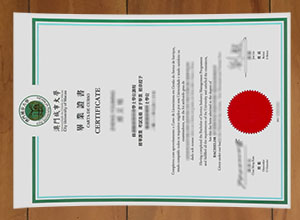 City University of Macau degree