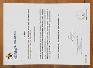 Universidade da Beira Interior degree
