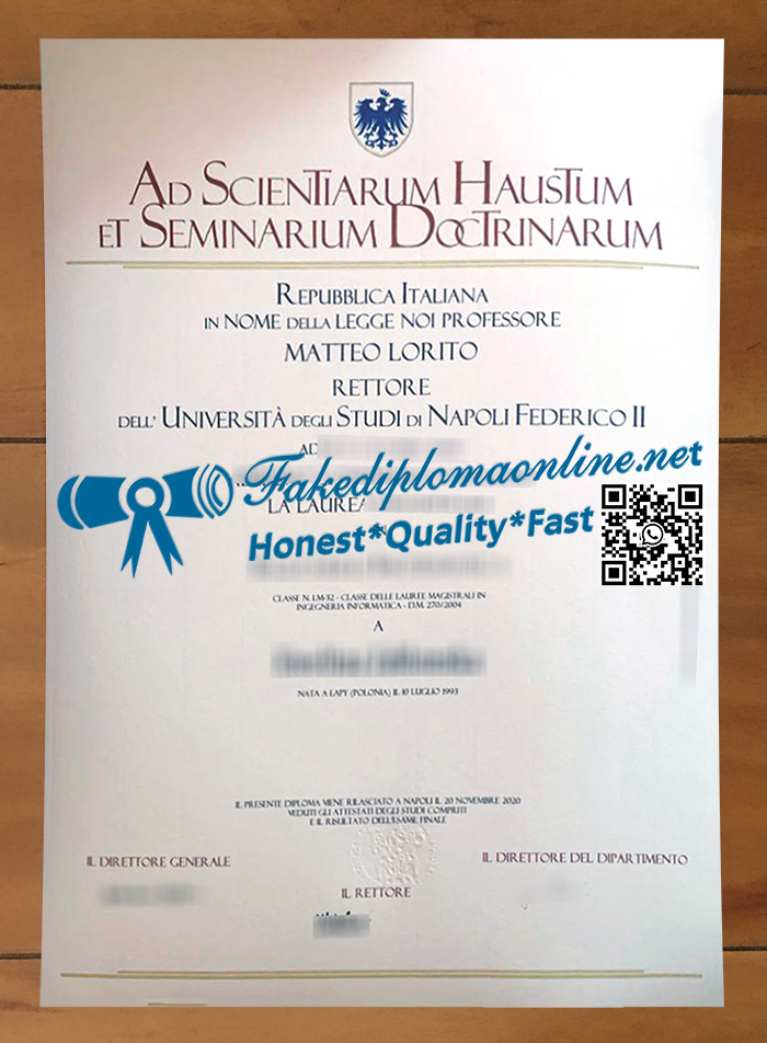 University of Naples Federico II degree