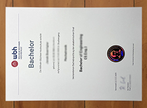 Wilhelm Büchner Hochschule urkunde