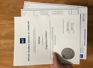 I am looking for BCIT diploma and transcript in Canada