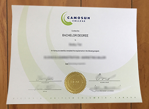 Camosun College diploma