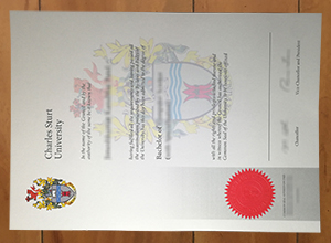 Charles Stewart University degree