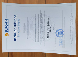 Euro-FH Hamburg degree