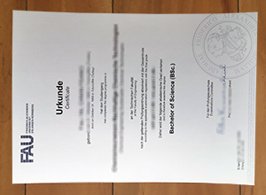 FAU Erlangen-Nürnberg degree