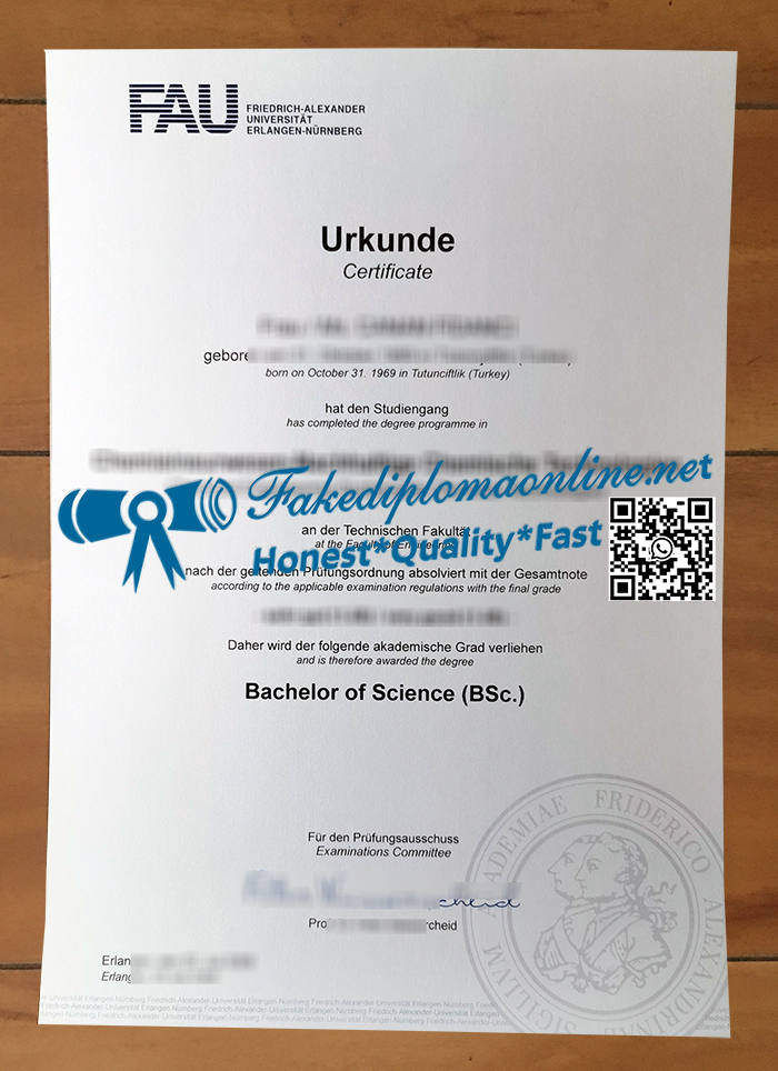 FAU Erlangen-Nürnberg diploma