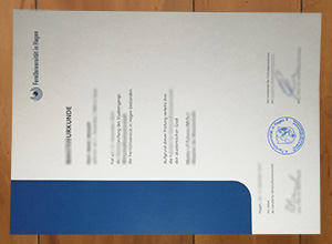 FernUniversität in Hagen degree