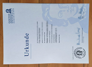 Goethe University Frankfurt diploma