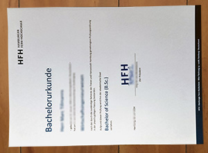 Hamburger Fern-Hochschule degree