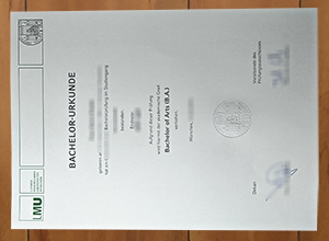 Where can I get a LMU Munich diploma certificate online?