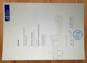 Leibniz Universität Hannover diploma